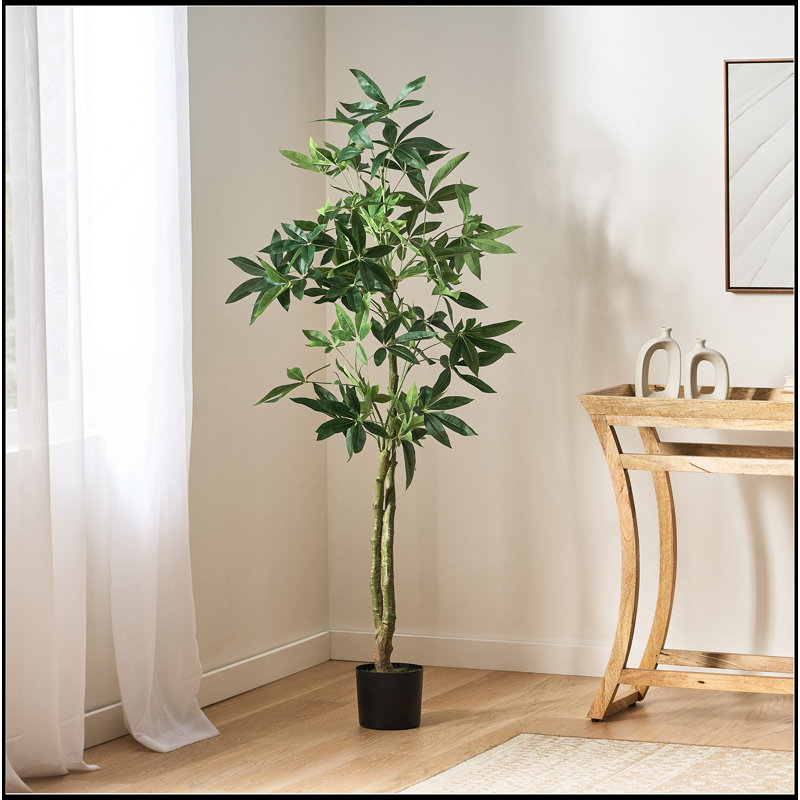 160CM ARTIFICIAL PACHIRA MACROCARPA, 63" H x 31.5" W x31.5" D