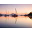 Red Rendezvous Print by Lisa Daniels-905102180