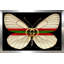 «Gucci Butterfly (Horizontal)» par By Jodi - impression-825954867-825954864-896906286