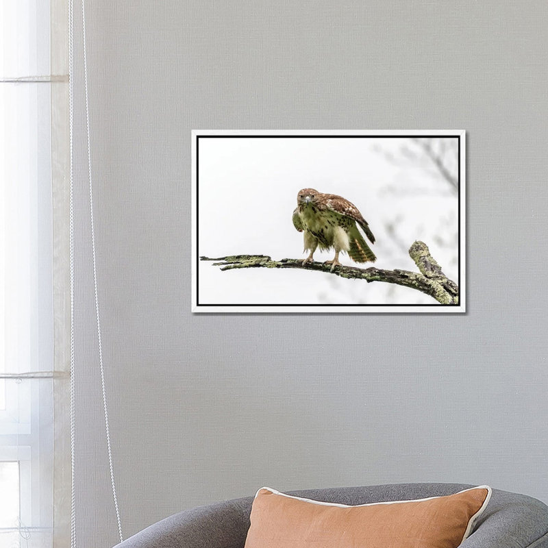 Intense by David Gardiner - Print on Canvas, White Framed, 66.04 cm H x 45.72 cm W