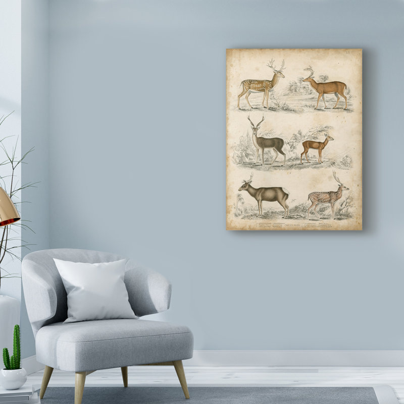 « non-orner les espèces de cerf » non disponible sur toile tendue, H 19 po x l 14 po x P 2 po
