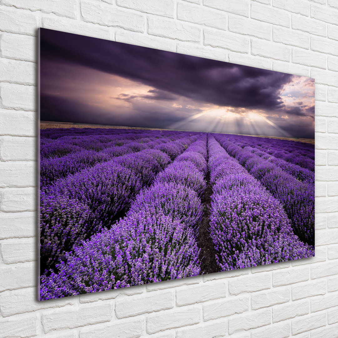 Glasbild Lavender Field