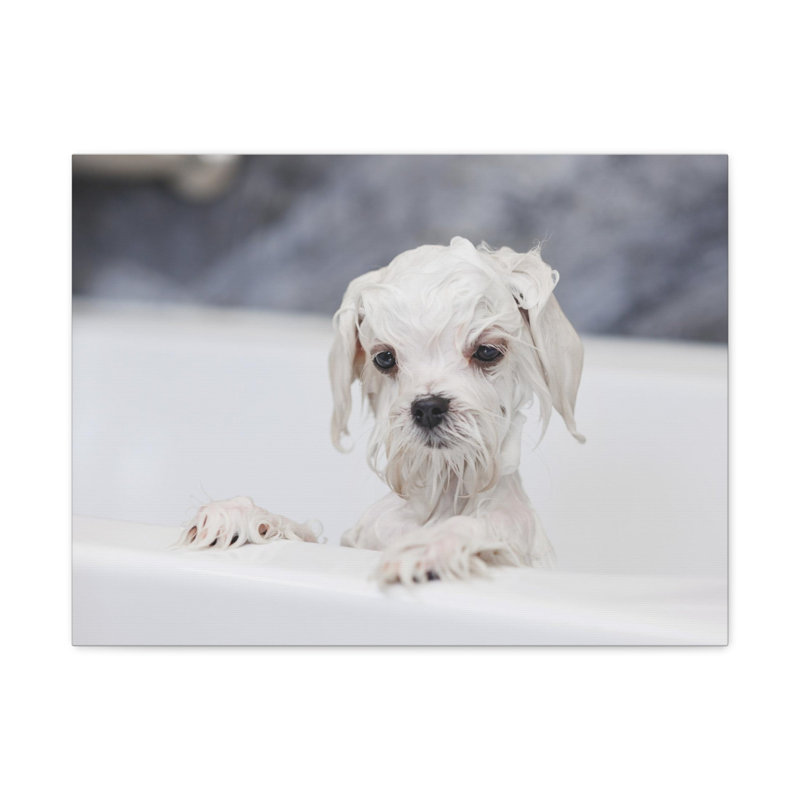 No Frame Print on Canvas, 12cm H x 18cm W