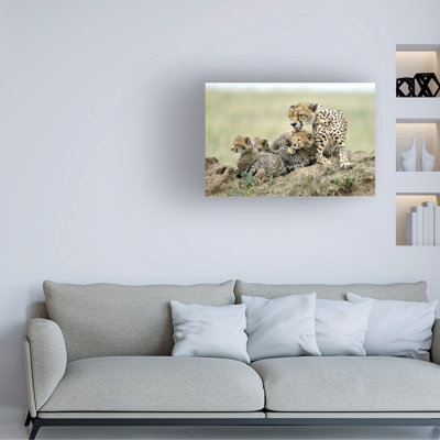 Art sur toile, "Giuseppe Damico"