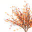 Arrangement de brindilles de bois-1933031926