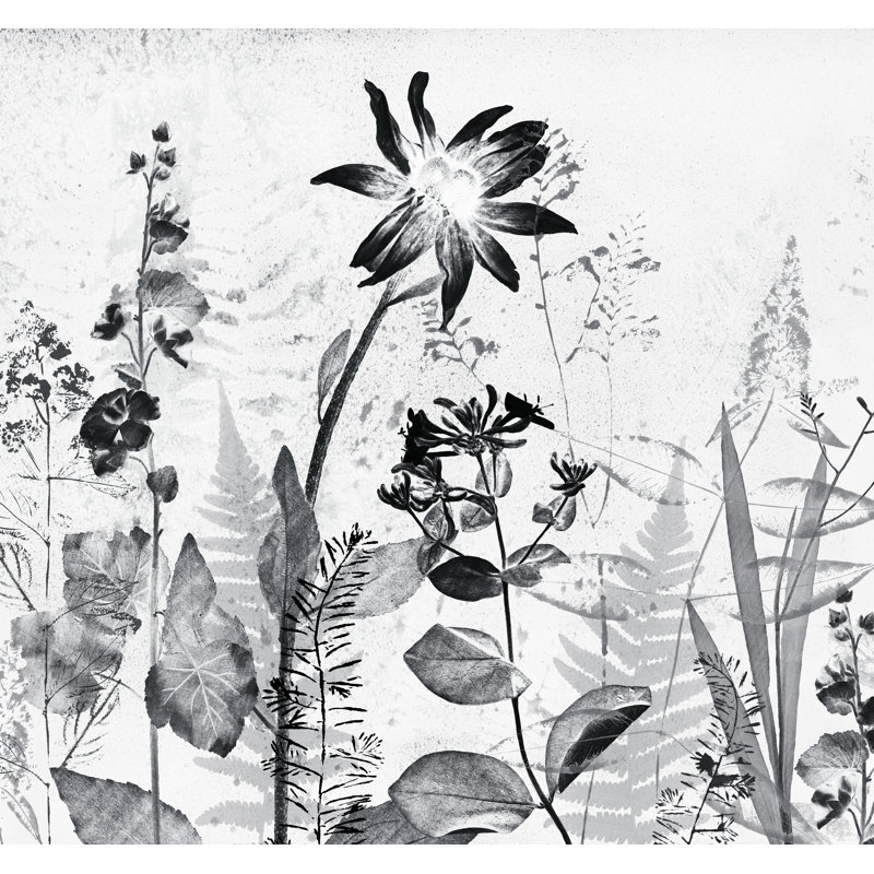 2.8m x 3m Matte Wall Mural, Black
