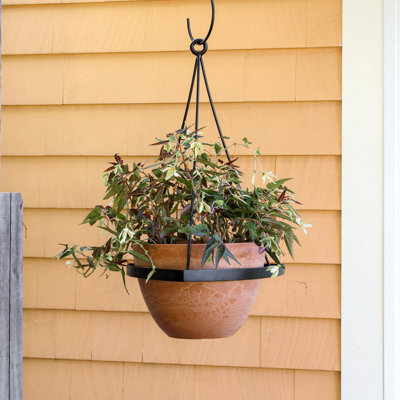 Rouleau Metal Hanging Planter