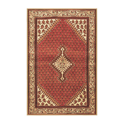 Performance Oriental Indoor Rug
