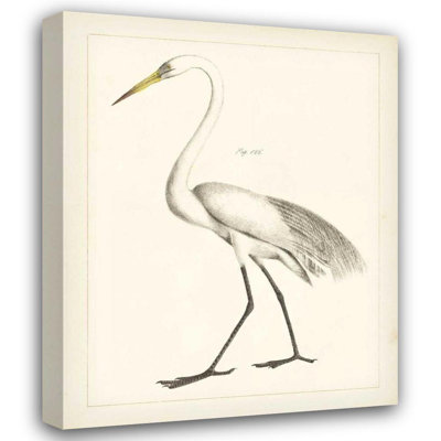 Art sur toile tendue avec galerie Lark Manor ™ Wild Apple