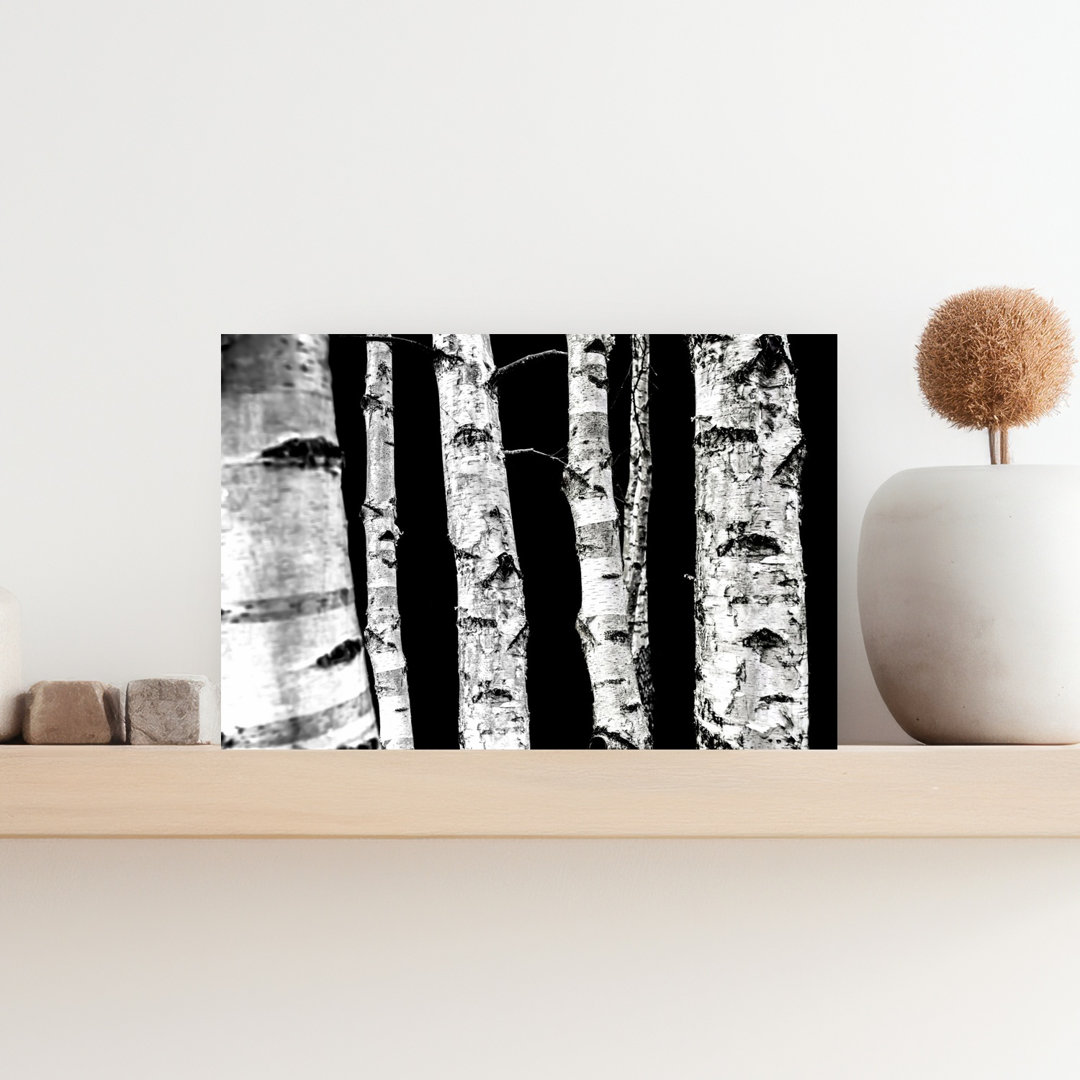 Birch Trees Abstract Contemporary Forest Landscape Wall Art Print