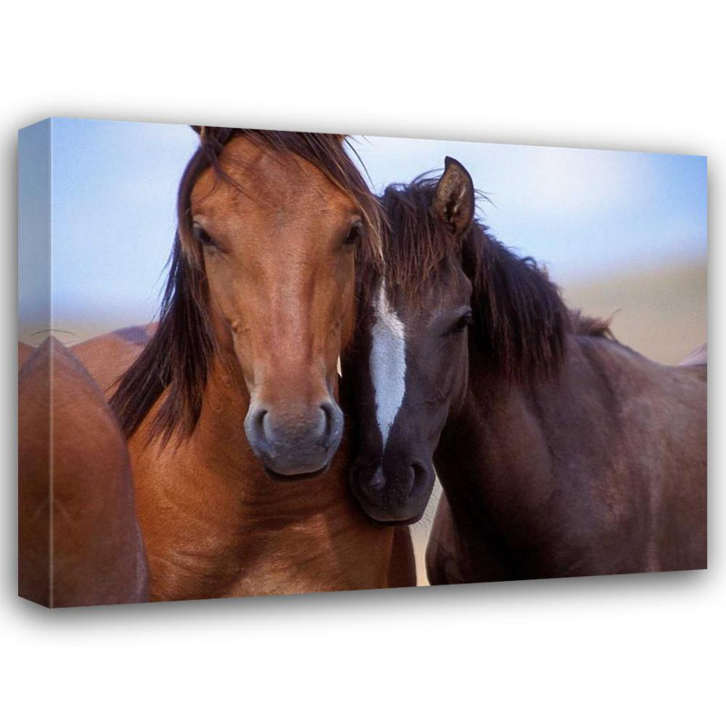 Art sur toile tendue par Gracie Oaks, Stromberg, Tony, L1414D