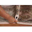 Tapis traditionnel oriental 7 x 10