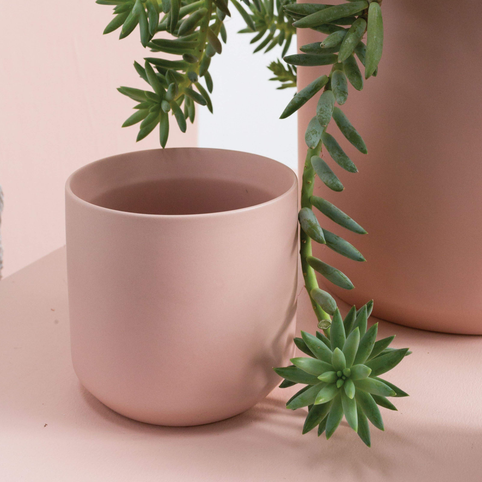 Parsons 5" Ceramic Pot Planter, Pink
