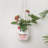 Plant Stand