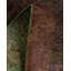Fine Vibrance One-of-a-Kind 2' 6" X 10' 2" Hand Knotted Area Rug