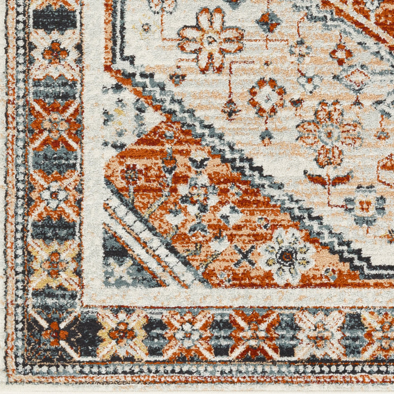 Aldusa Oriental Indoor Rug, Rectangle 5'3" x 7'