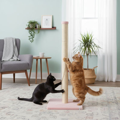 Grattoir pour chat