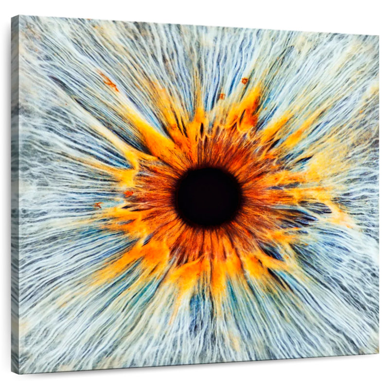 Alcaraz Magnificent Human Eye