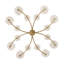 Fleurana Chandelier