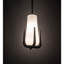 Blumenklaue 1 - Light Pendant
