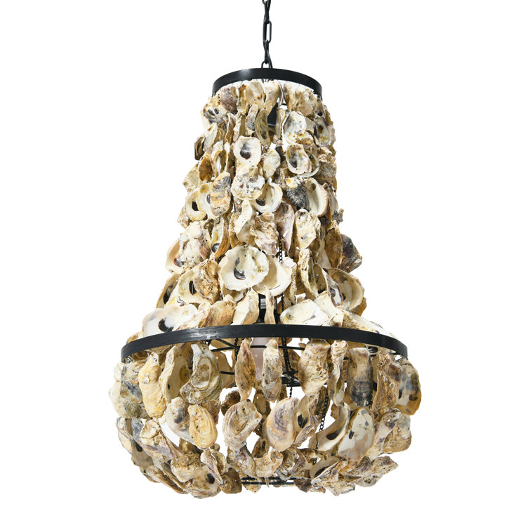 Paradiso Metal and Draped Oyster Shell Chandelier