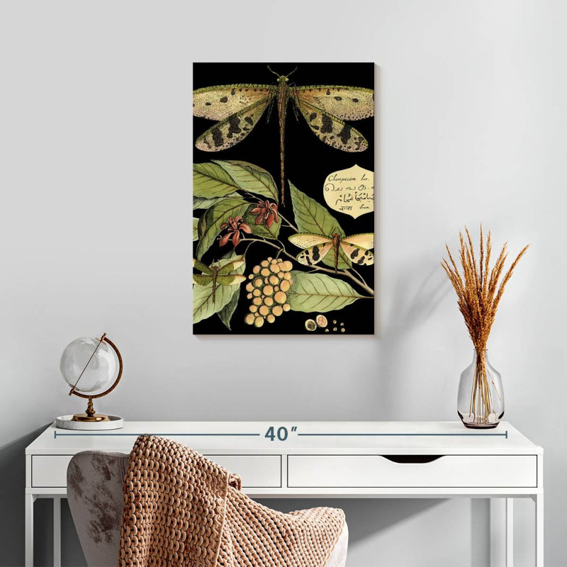 Keiri Whimsical Dragonfly On Black I, 24" H x 16" W