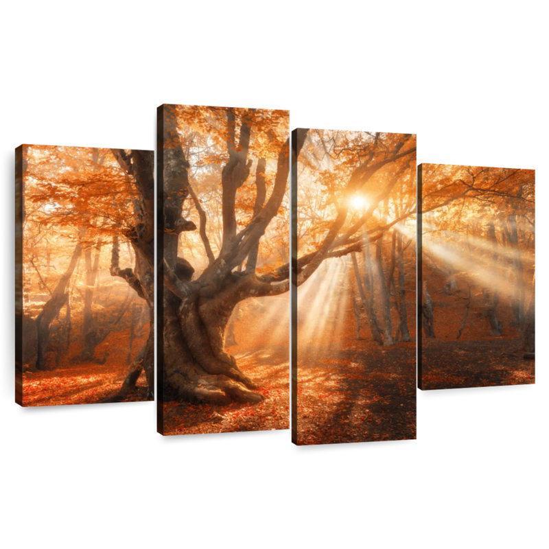 Lumière du soleil d'automne Alvord, H 32 po x l 52 po