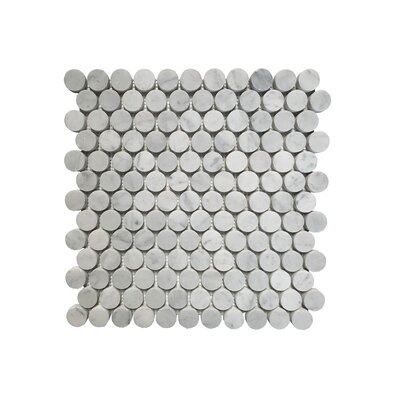 1"" x 1"" Marble Penny round Mosaic Wall & Floor Tile -  Bloom Stone, HB-CL-138