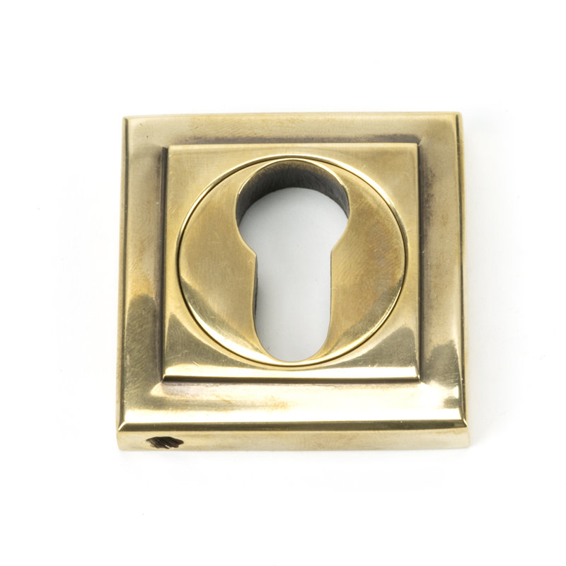 Euro Escutcheon Door Accessory, Aged Brass