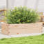 3 Outdoor Planter-100492012-100492016