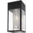 Dzanna Solid Brass Wall Light