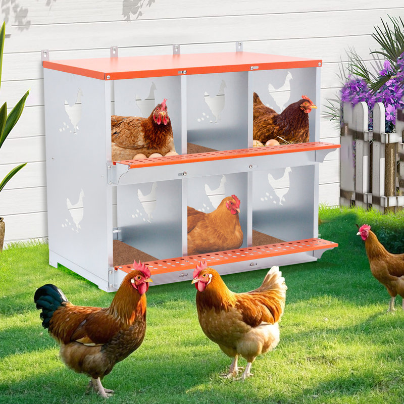 6 boîtes de nidification ventilées pour et canards, métal orange, rembourrage en fibre de noix de coco, volaille de nid en acier galvanisé facile à nettoyer, favorise la ponte confortable des œufs, absorbant et durable