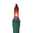 50-Count Mini Christmas Light Set 10ft Wire-1053283117