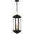 Giuseppina 3-Light Matte Black Outdoor Hanging Lantern