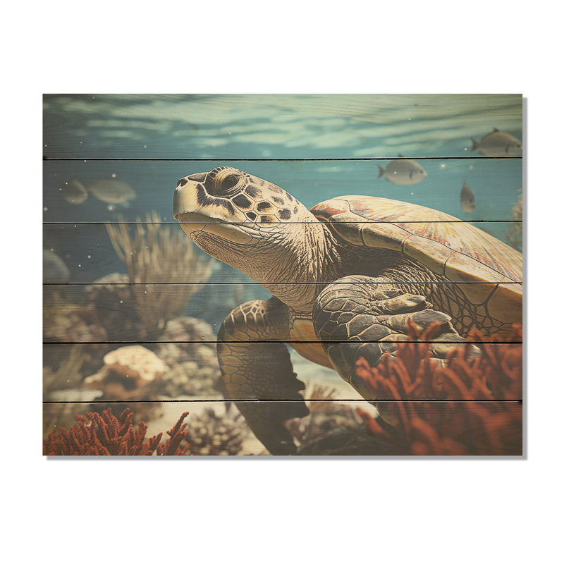 Classic Coastal Life - Tortue, panneau de bois sur bois de pin naturel, H 30 po x l 40 po