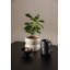 Needham 2 - Person Dining Set