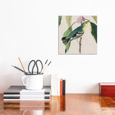 Avian Crop IV by John James Audubon - Wrapped Canvas Painting