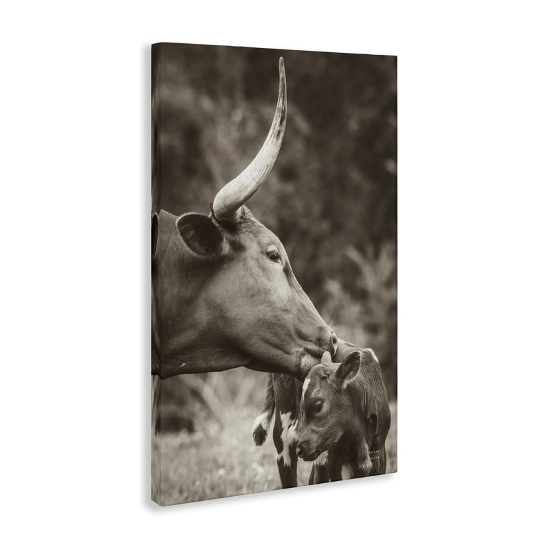  «Longhorn Kissing Baby» par Nathan Larson, H 36 po x l 24 po