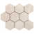 Hexagone