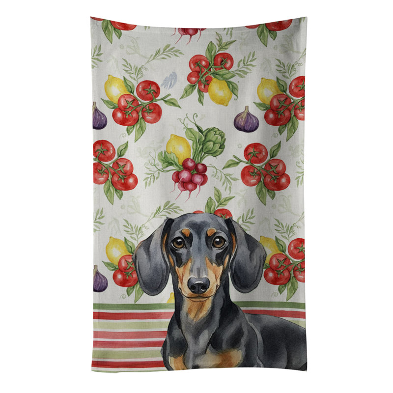 Torchon noir et brun clair teckel, Black/Tan Dachshund