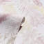 Papier peint Nell