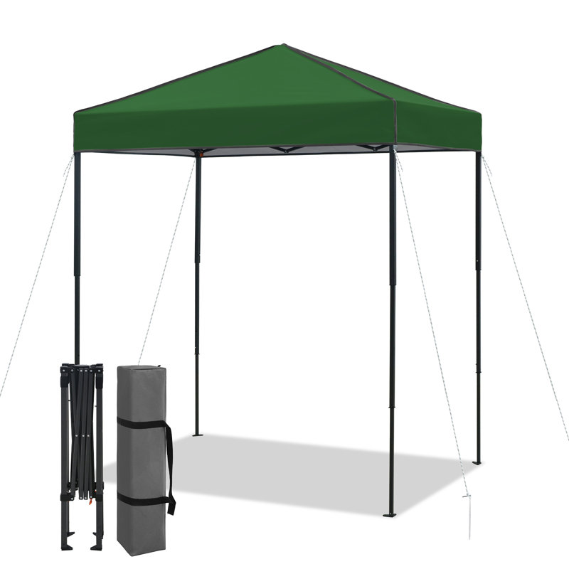 Tente d'auvent 6 x 4, auvent escamotable robuste avec sac de transport, Vert