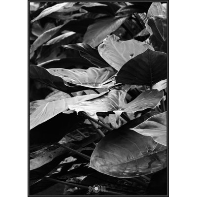 Single Picture Frame Print