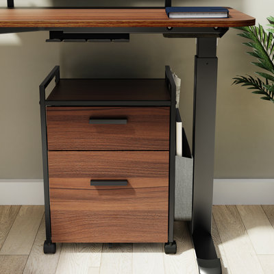 43.5cm Wide 2 -Drawer Mobile File Cabinet