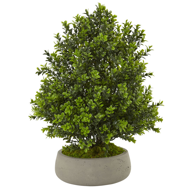 Plante buis artificielle 22" en pot