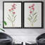 Delicate Pink I - ensemble de 2 reproductions d'art sur toile encadrées-61455387-61455390