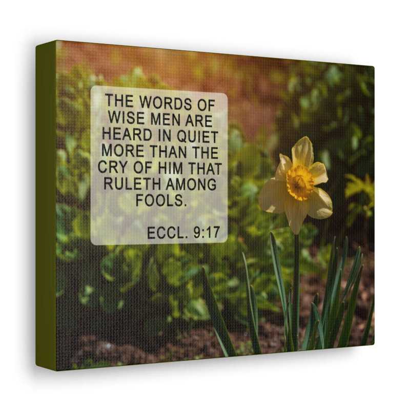 Words Of Wise Eccl 9:17 - Wrapped Canvas Print, 28cm H x 36cm W