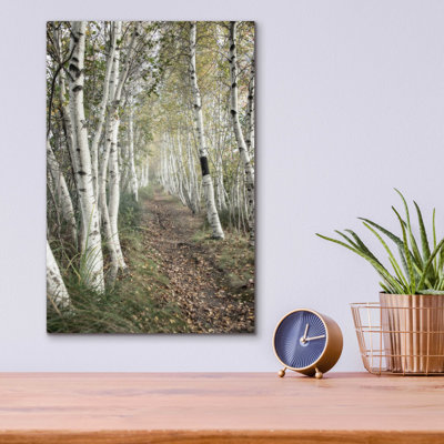«Birch Trail» par Natalie Mikaels