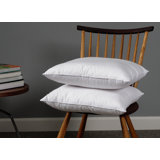 Wayfair Basics® Didomenico Euro Square Pillow Insert
