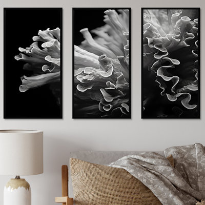 «Black and White Anemoner Color Photo III - Coastal Coral Under Water», ensemble d'art sur toile